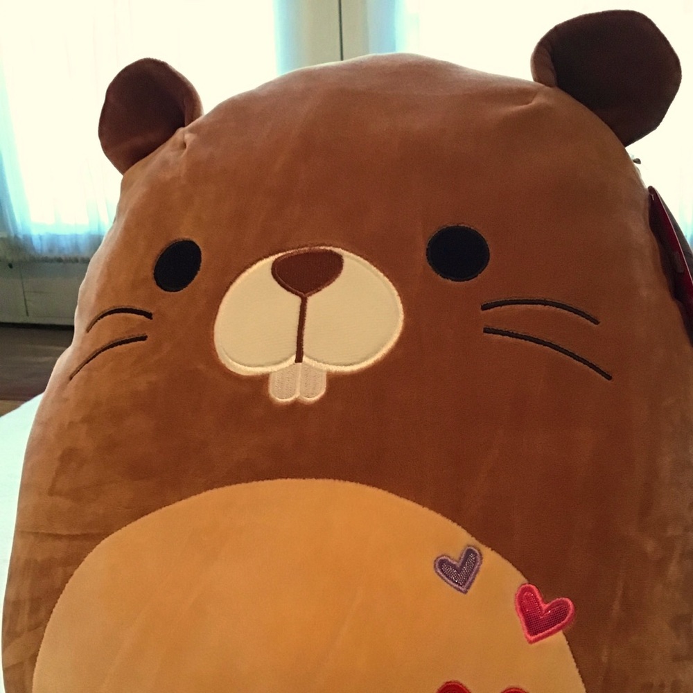 Squishmallow 16” Valentine’s Beaver Chip BNWT XL
